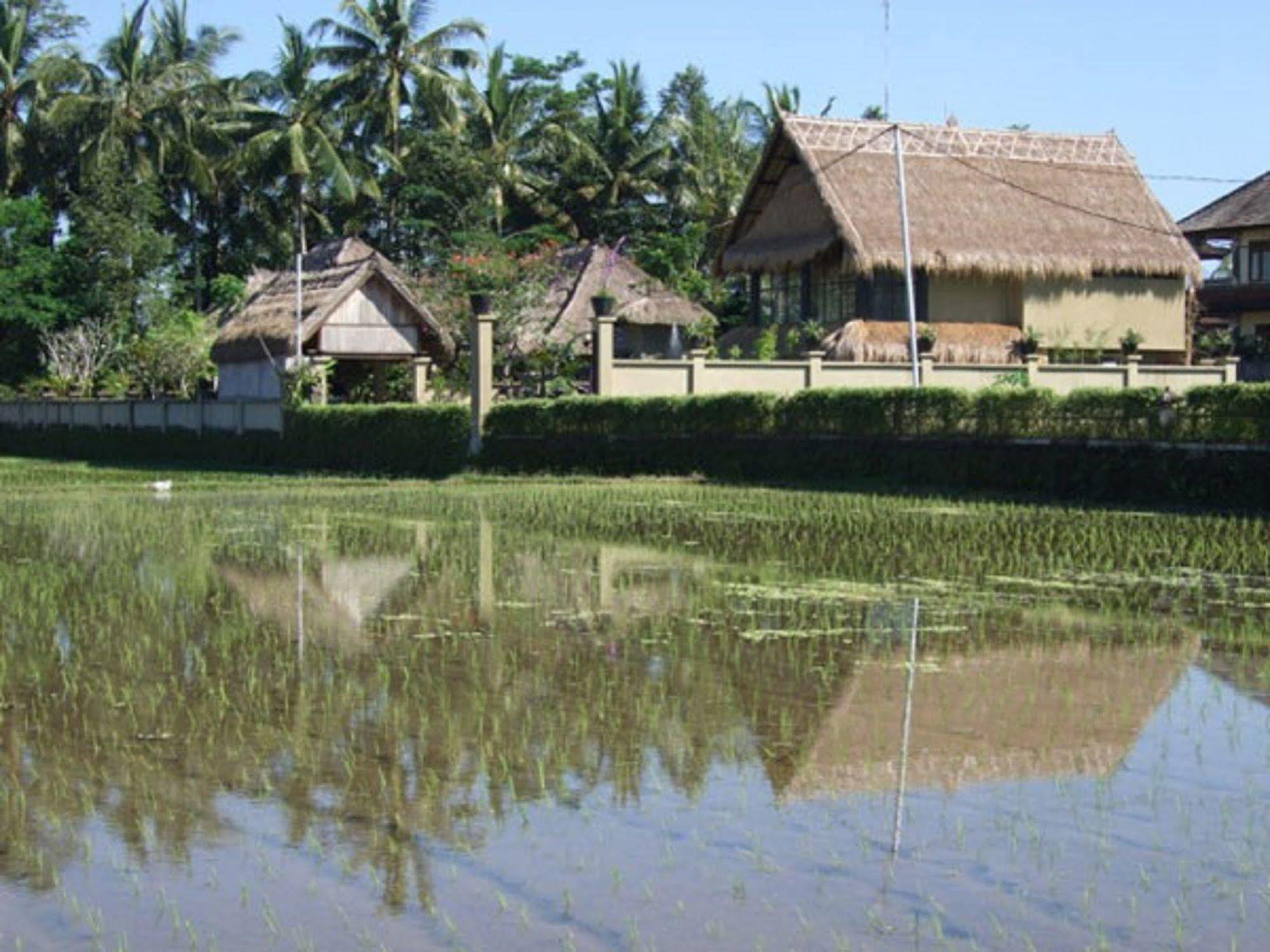 Puri Lotus Hotel Ubud Eksteriør billede