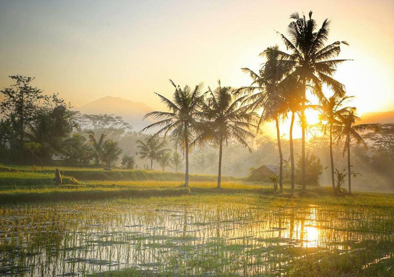 Puri Lotus Hotel Ubud Eksteriør billede
